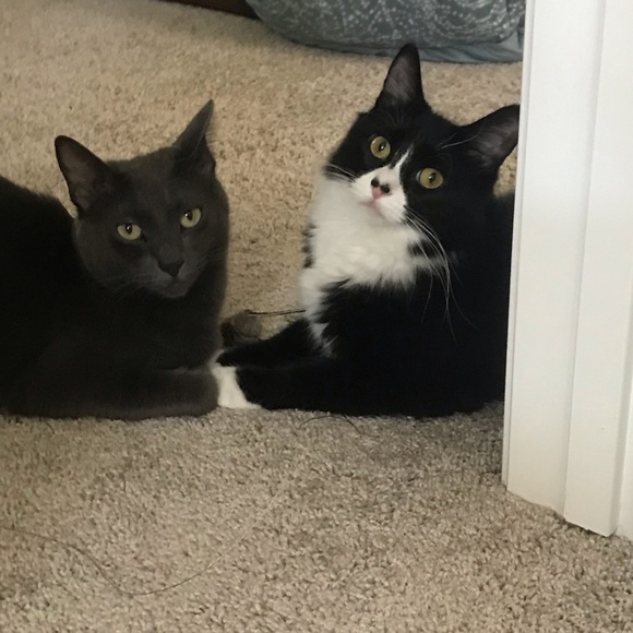 Meet your Posher, Charina. 💎Posh Ambassador!💎 - Picture 2 of 2